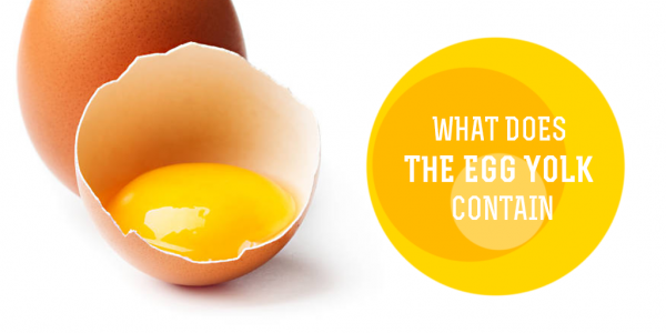 What Does Egg Yolk Contain? GoMedii Healthcare Blog