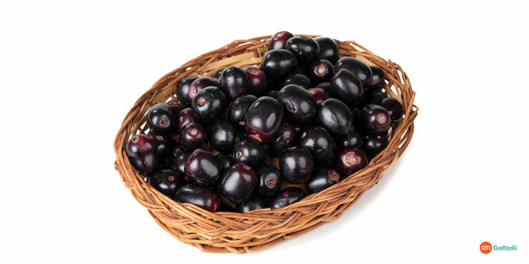 Jamun Seed for Diabetes: Here’s What You Want to Know - GoMedii