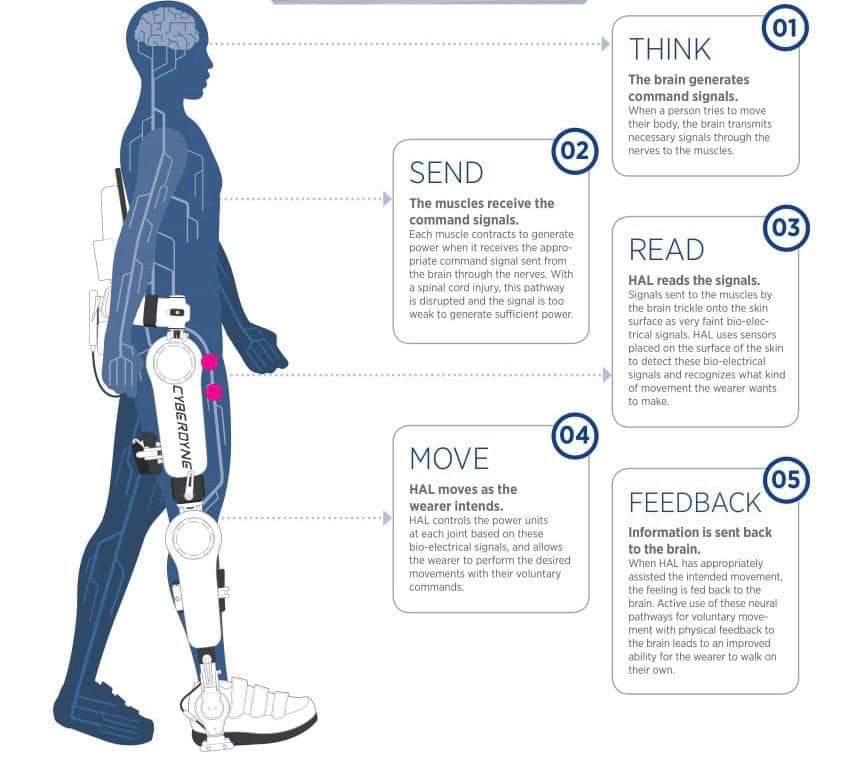 Know More About Cyberdyne Treatment In India, Robotics Surgery of spine