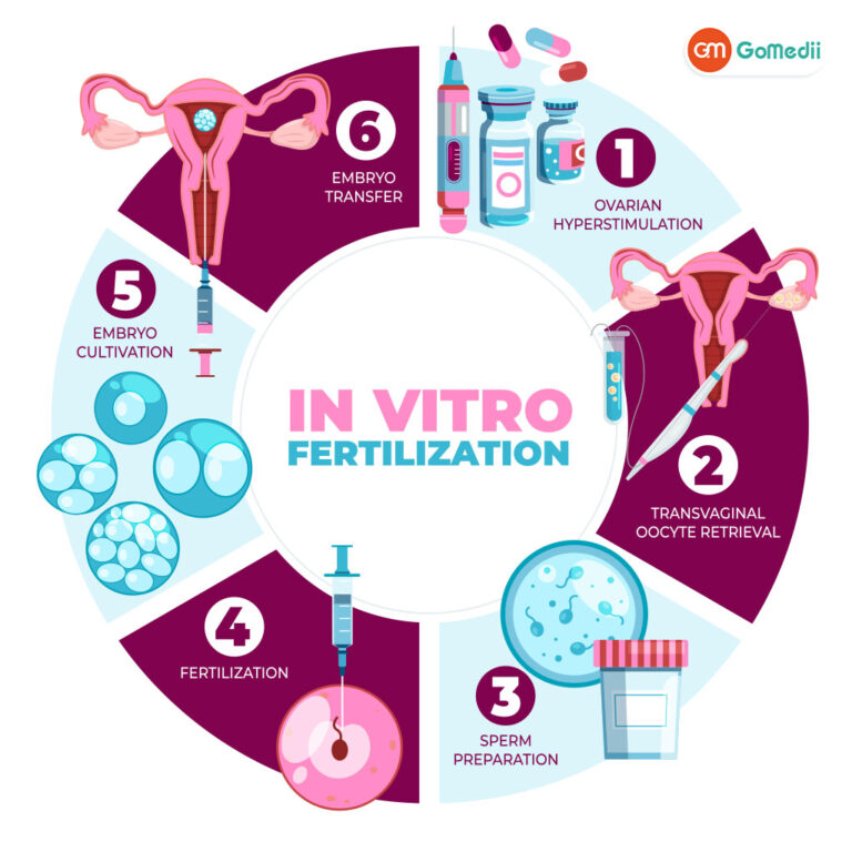 Unlock Your Ivf Success 10 Myths That Could Be Holding You Back World Ivf Day - eubpogn